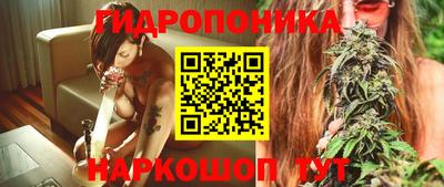 прущие крисы Донской