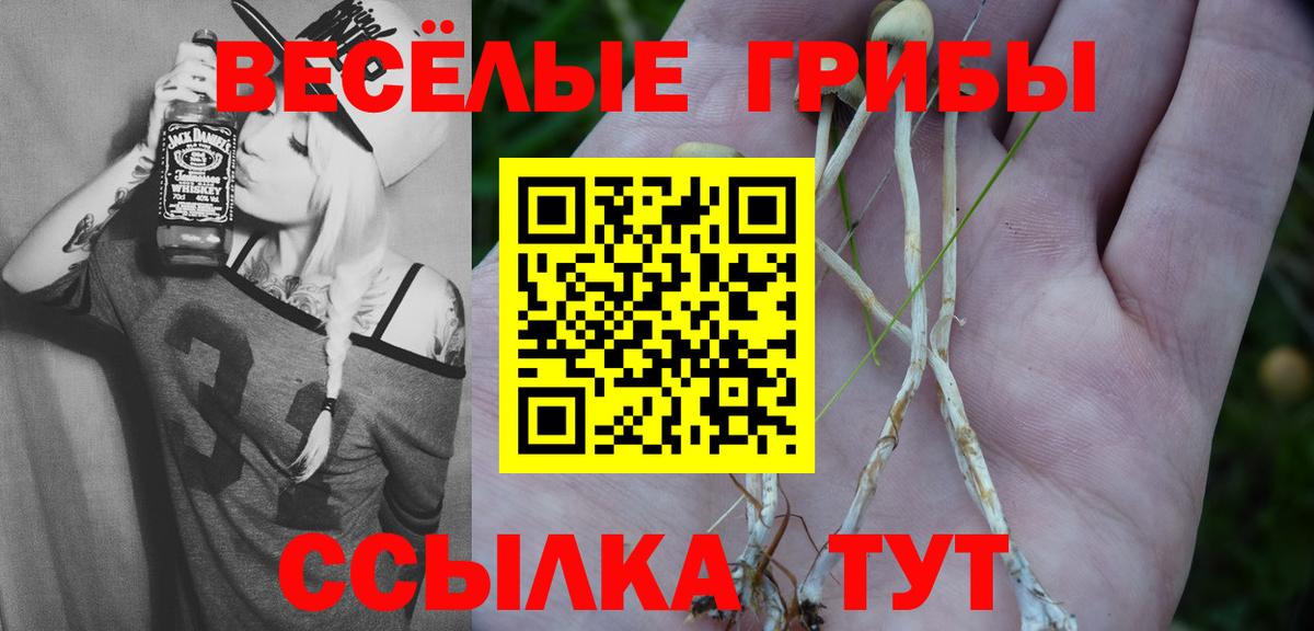 Галлюциногенные грибы ЛСД  Вход с VPN  Магнитогорск 